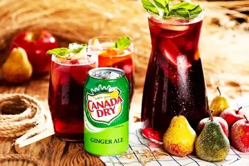 Canada dry diet ginger ale feature image